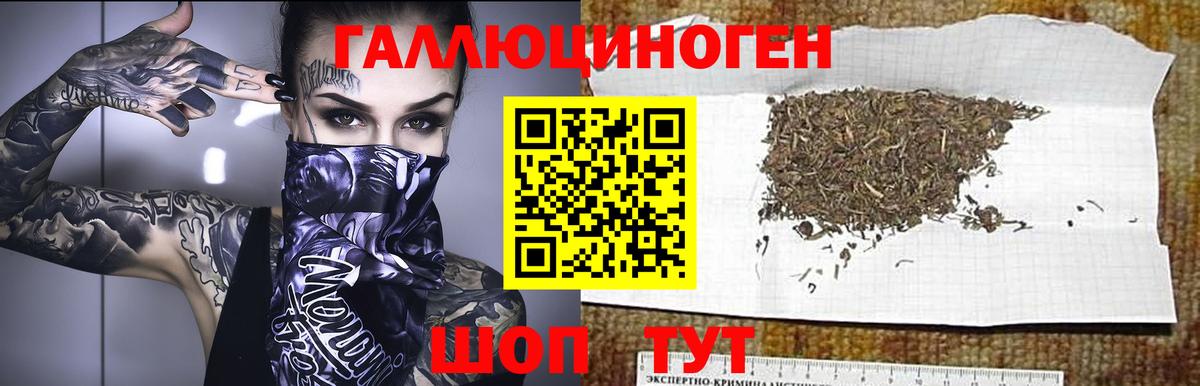 Галлюциногенные грибы MAGIC MUSHROOMS  Псилоцибиновые грибы MAGIC MUSHROOMS  Кинель  Вход с VPN 